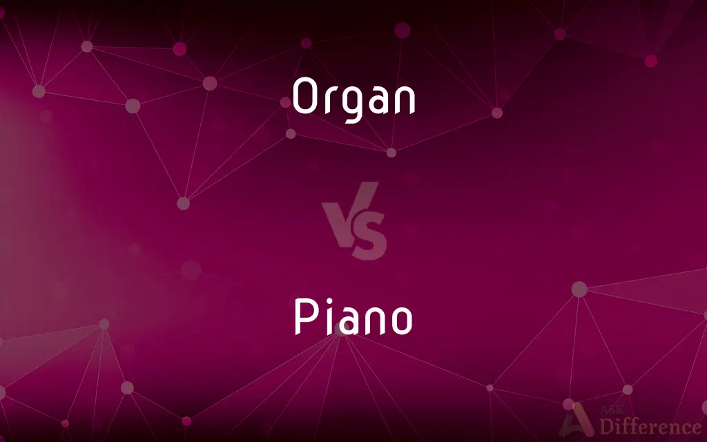 Organ vs. Piano — What's the Difference?