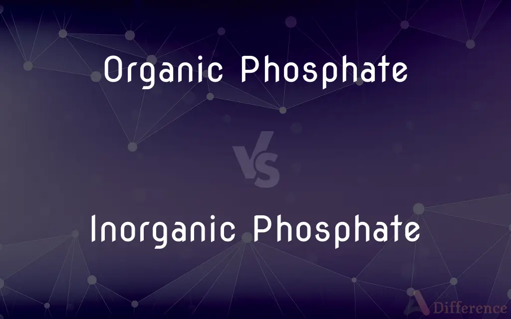 Organic Phosphate vs. Inorganic Phosphate — What's the Difference?