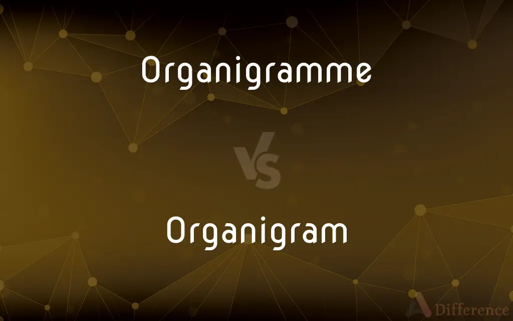Organigramme vs. Organigram — What's the Difference?