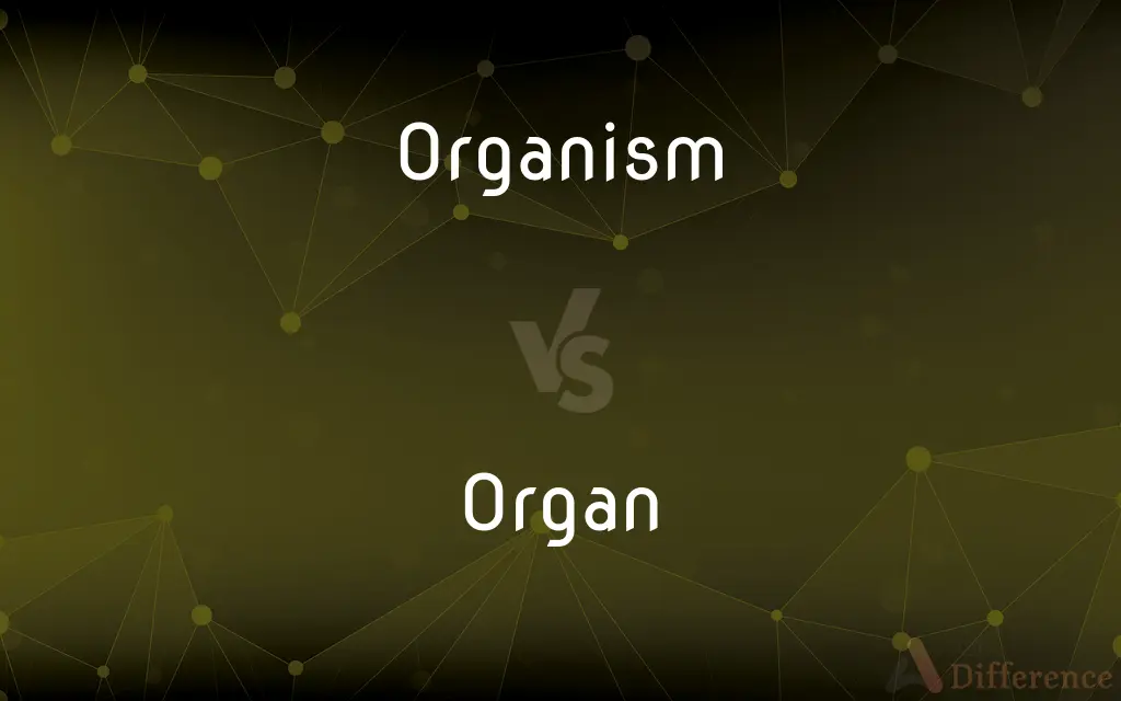 Organism vs. Organ — What's the Difference?