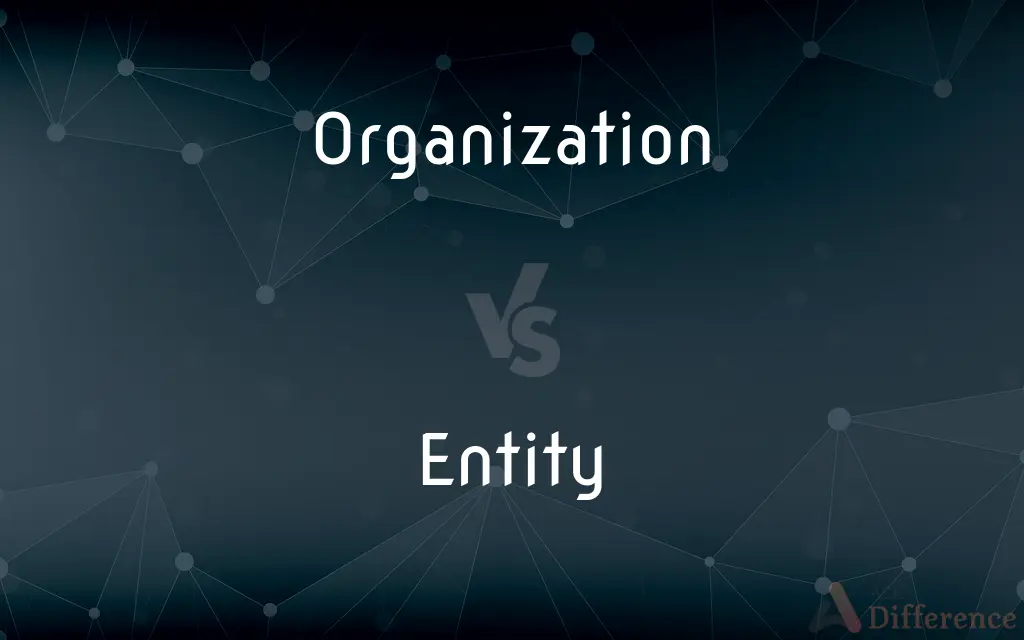 Organization vs. Entity — What's the Difference?