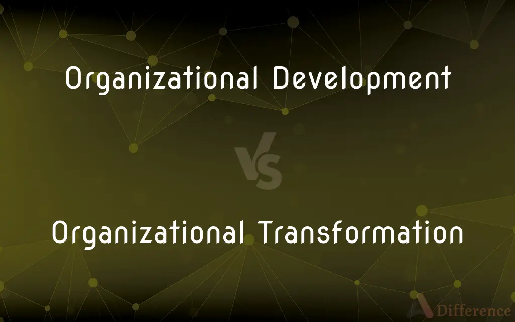 Organizational Development vs. Organizational Transformation — What's the Difference?