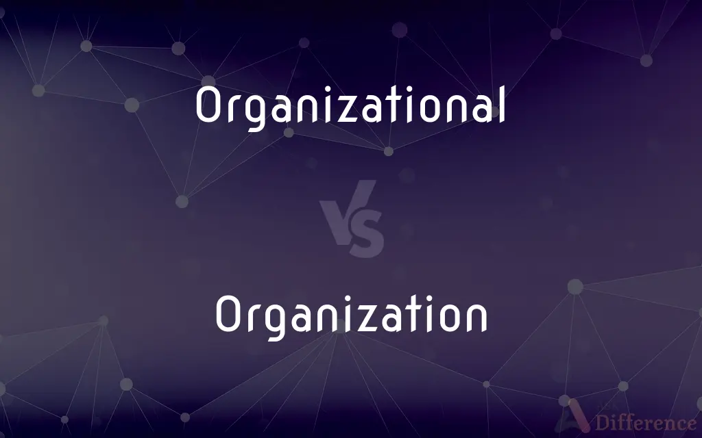 Organizational vs. Organization — What's the Difference?