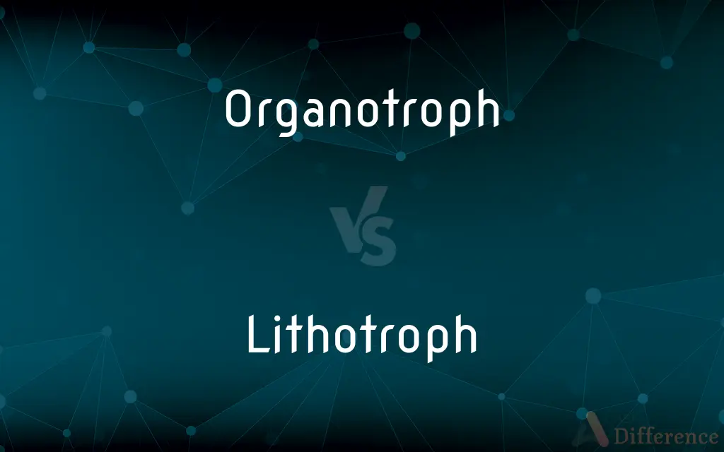 Organotroph vs. Lithotroph — What's the Difference?
