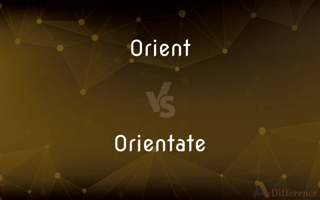 Orient vs. Orientate — What's the Difference?
