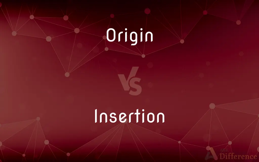 Origin vs. Insertion — What's the Difference?