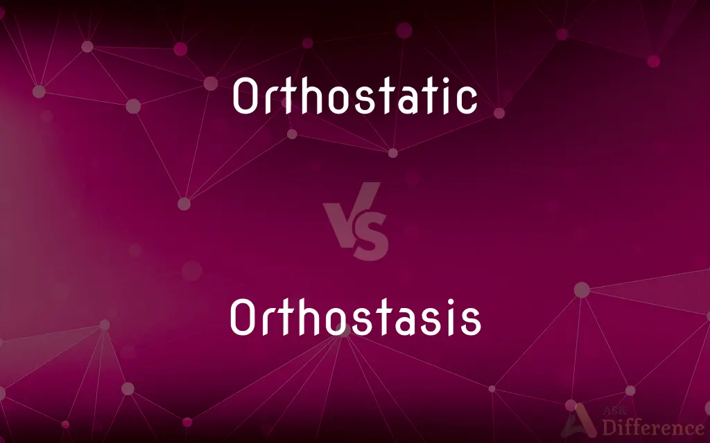 Orthostatic vs. Orthostasis — What's the Difference?