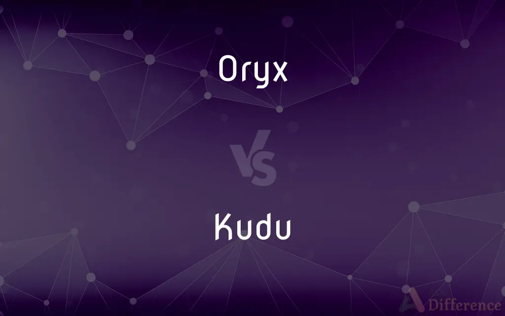 Oryx vs. Kudu — What's the Difference?