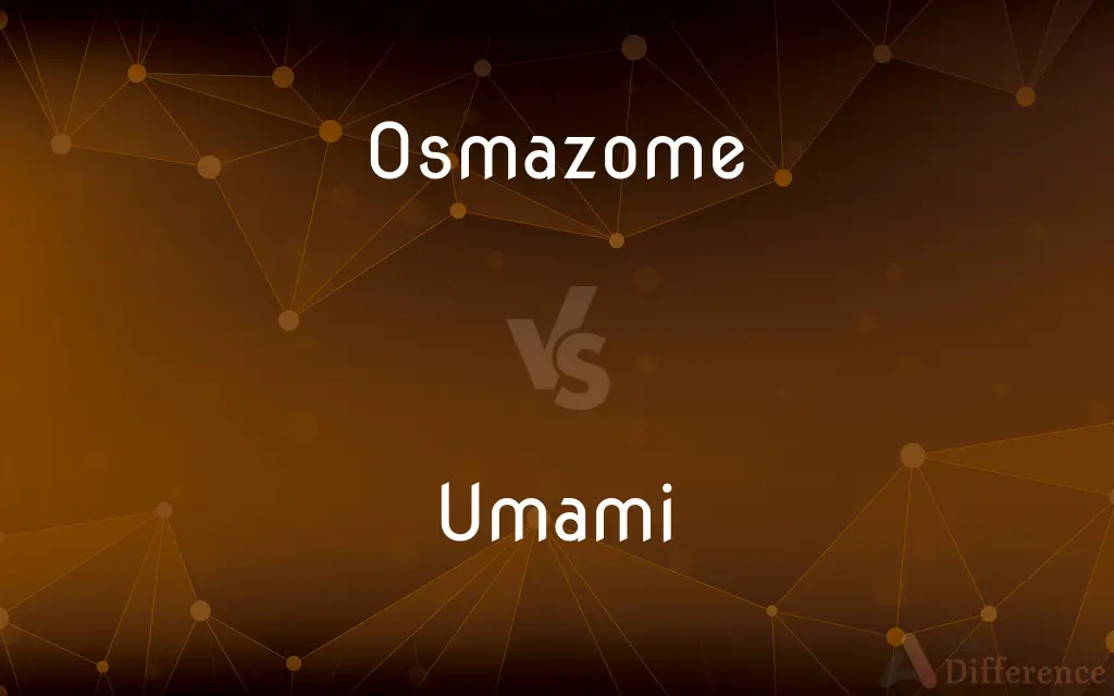 Osmazome vs. Umami — What's the Difference?