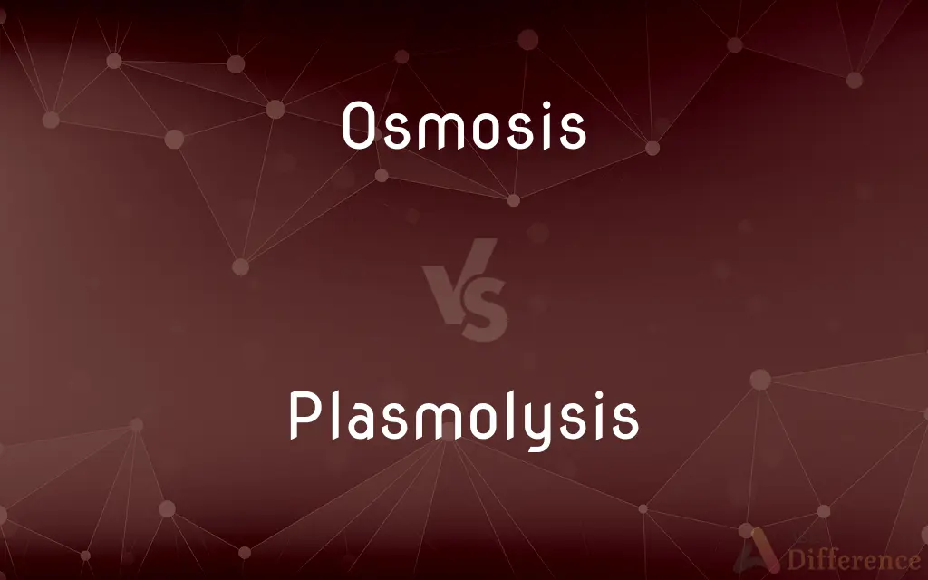 Osmosis vs. Plasmolysis — What's the Difference?