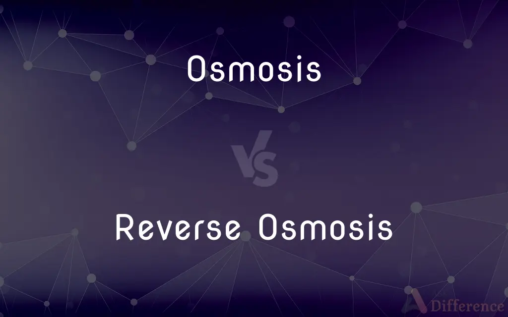 Osmosis vs. Reverse Osmosis — What's the Difference?
