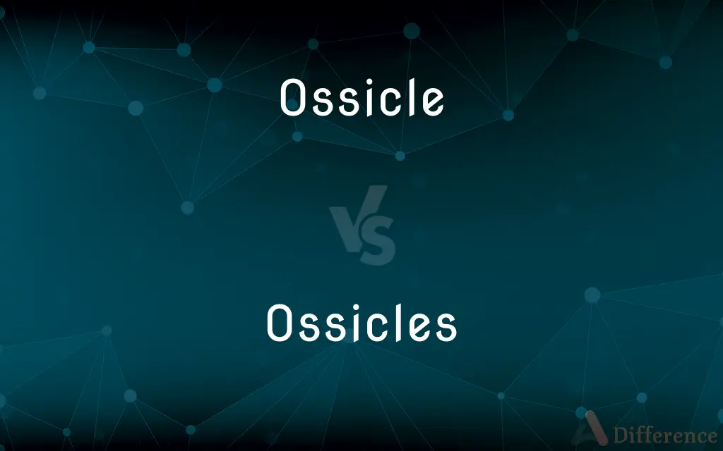 Ossicle vs. Ossicles — What's the Difference?