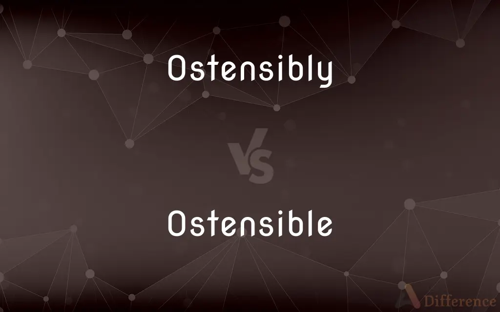 Ostensibly vs. Ostensible — What's the Difference?