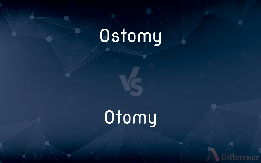 Ostomy vs. Otomy — Which is Correct Spelling?