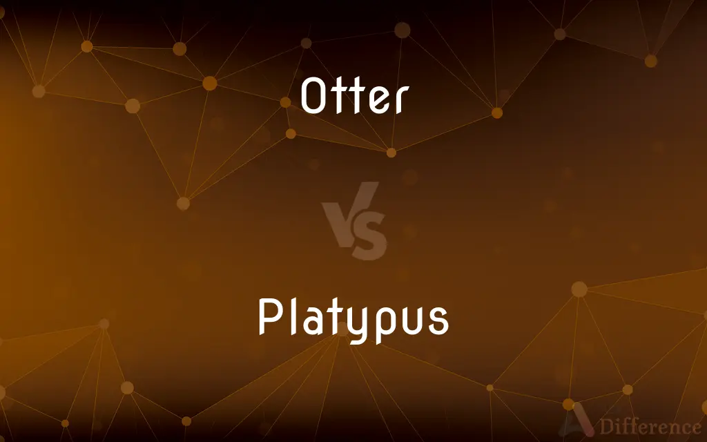 Otter vs. Platypus — What's the Difference?