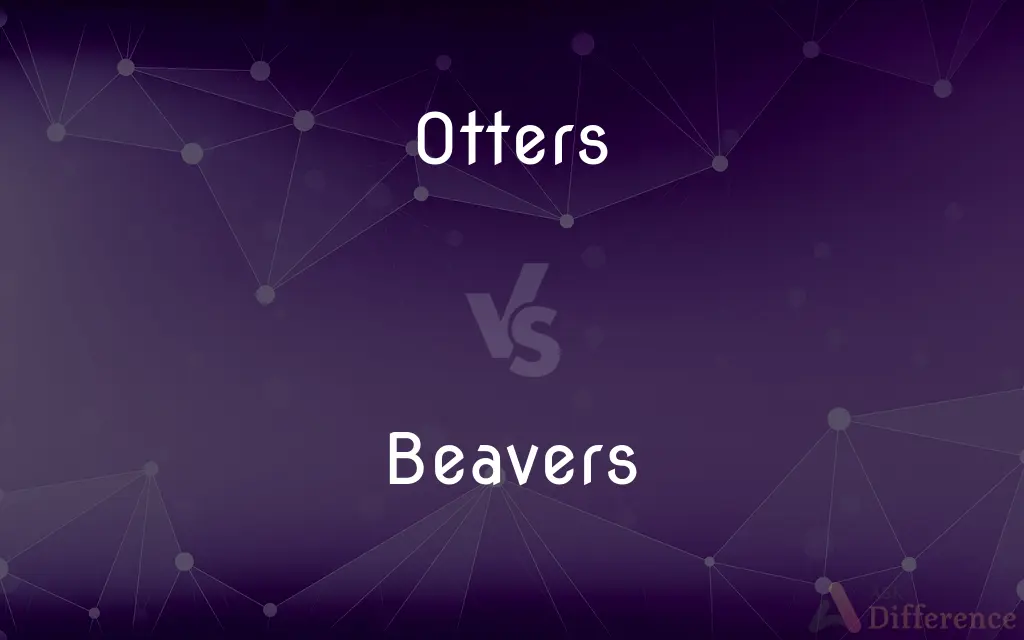 Otters vs. Beavers — What's the Difference?