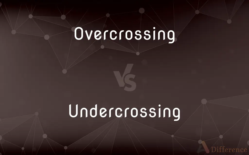 Overcrossing vs. Undercrossing — What's the Difference?