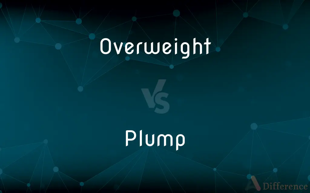 Overweight vs. Plump — What's the Difference?