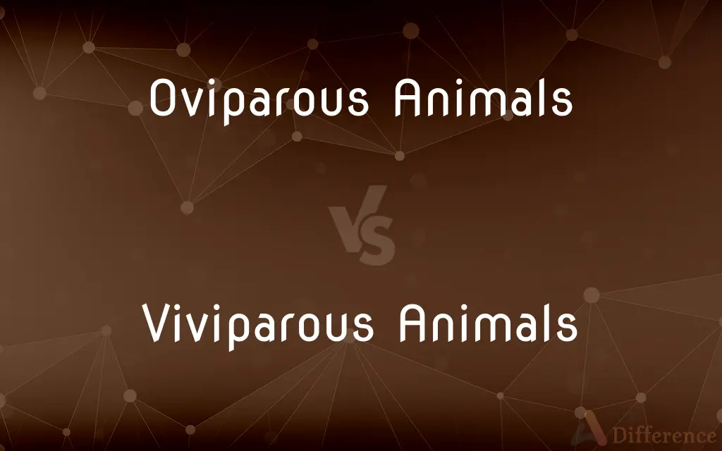 Oviparous Animals vs. Viviparous Animals — What's the Difference?