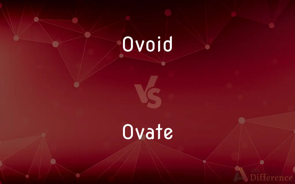 Ovoid vs. Ovate — What's the Difference?