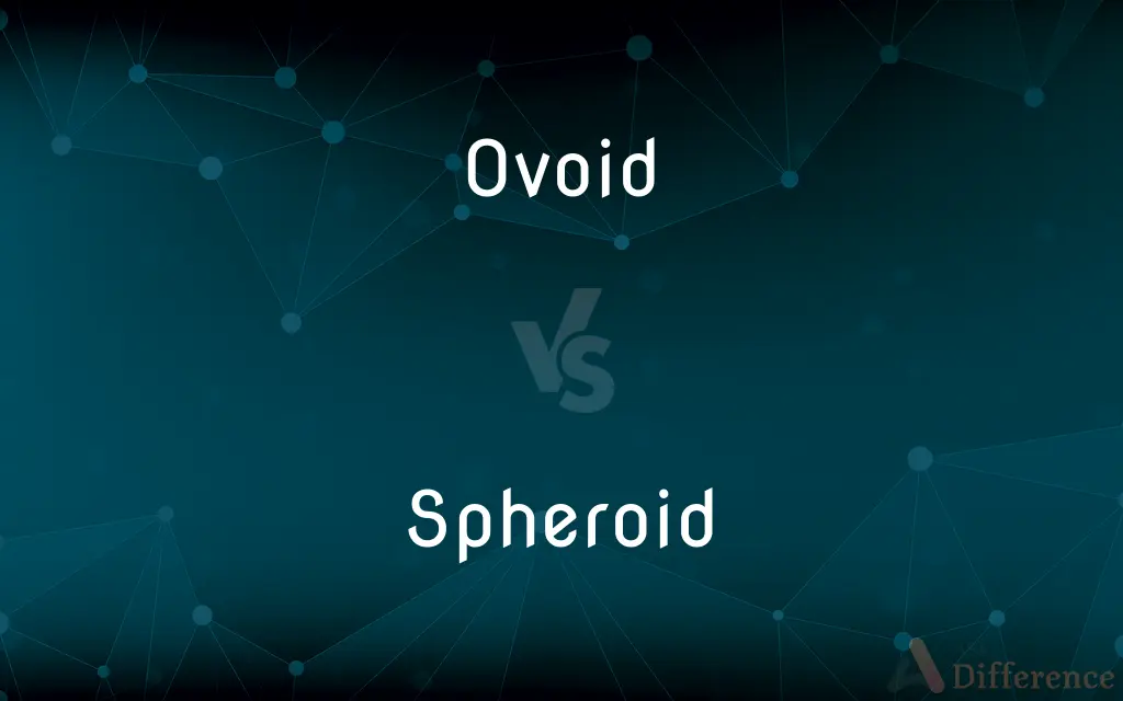 Ovoid vs. Spheroid — What's the Difference?