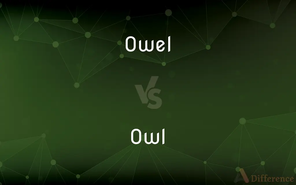 Owel vs. Owl — Which is Correct Spelling?