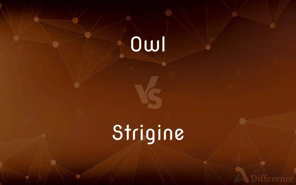 Owl vs. Strigine — What's the Difference?