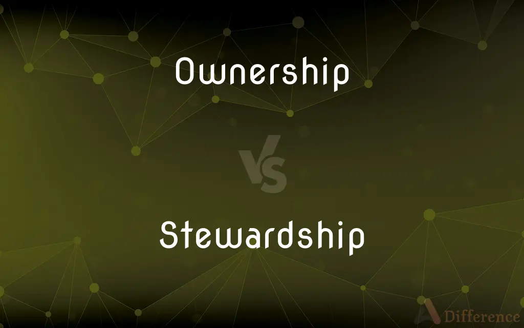 Ownership vs. Stewardship — What's the Difference?