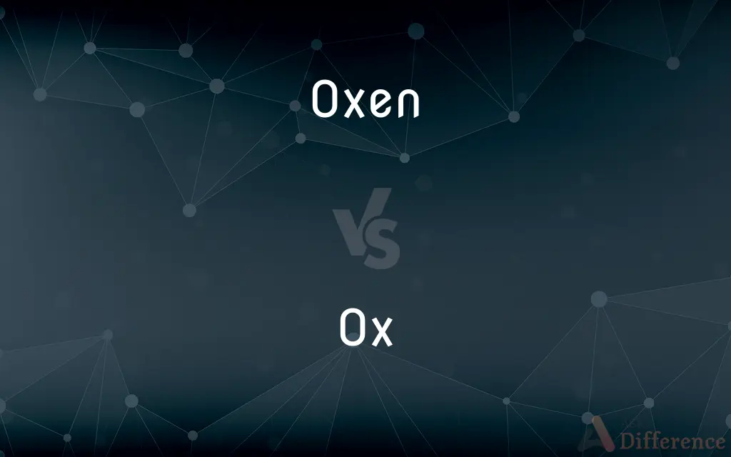 Oxen vs. Ox — What's the Difference?