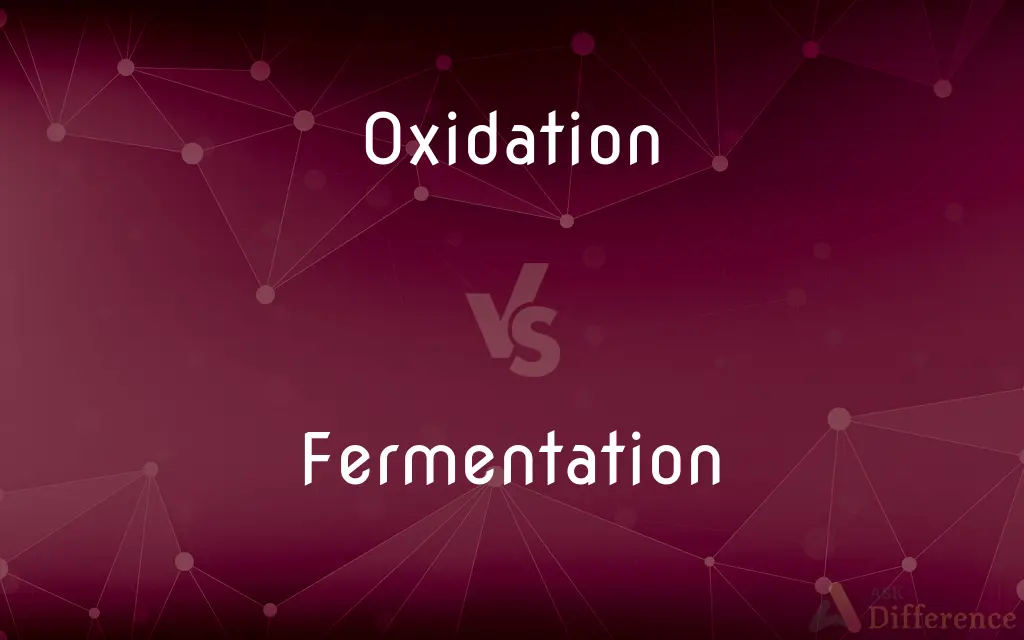 Oxidation vs. Fermentation — What's the Difference?