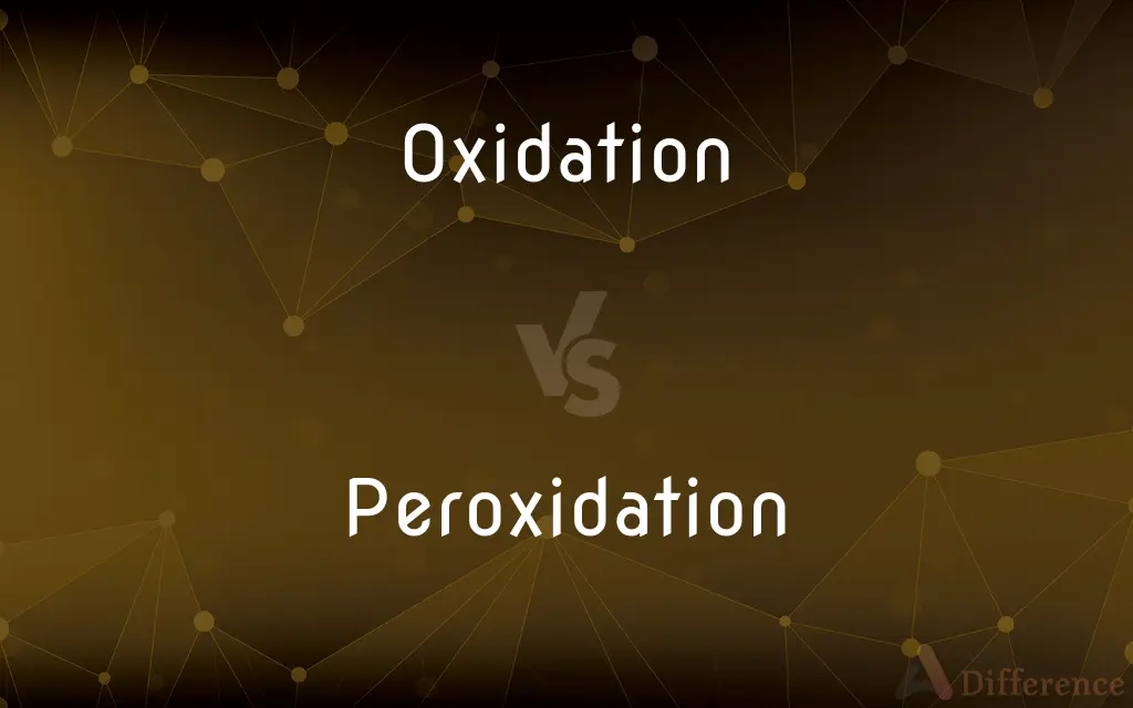 Oxidation vs. Peroxidation — What's the Difference?