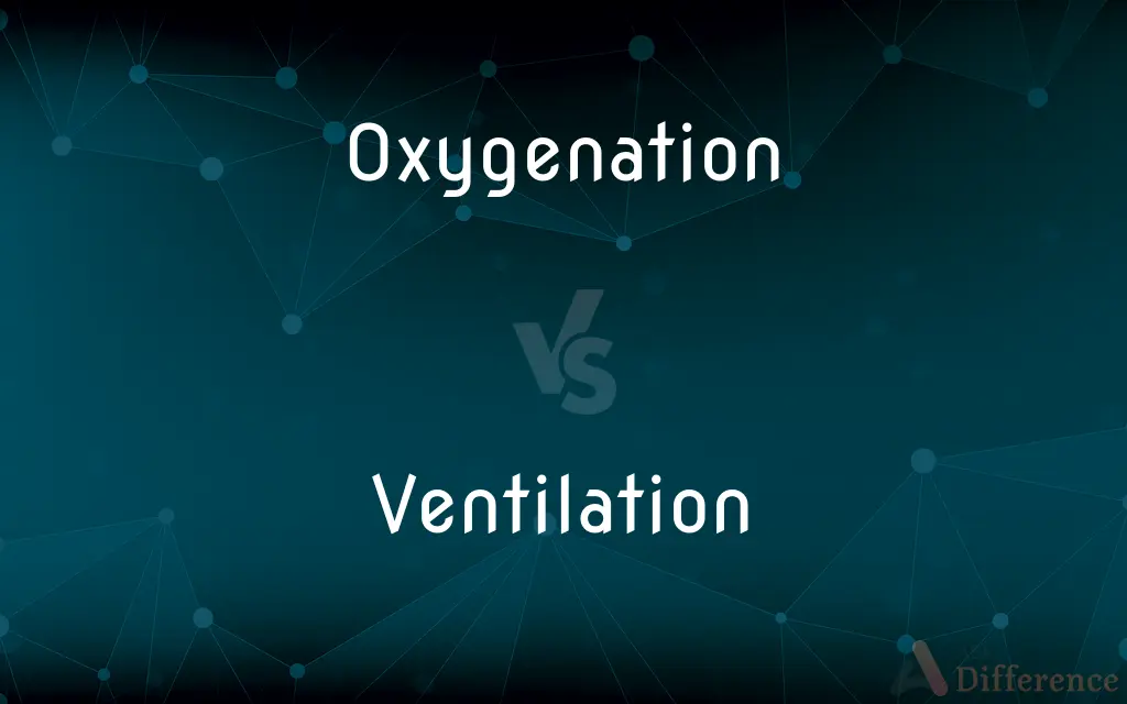 Oxygenation vs. Ventilation — What's the Difference?