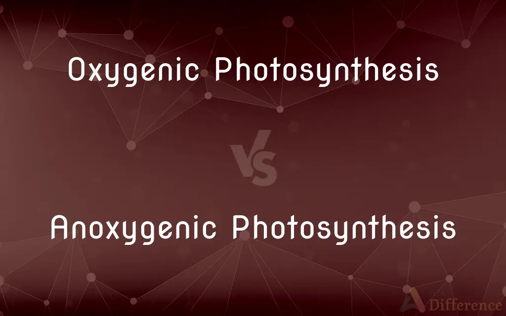 Oxygenic Photosynthesis vs. Anoxygenic Photosynthesis — What's the Difference?