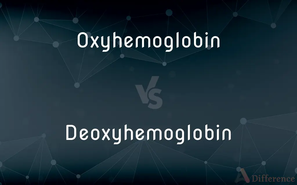 Oxyhemoglobin vs. Deoxyhemoglobin — What's the Difference?