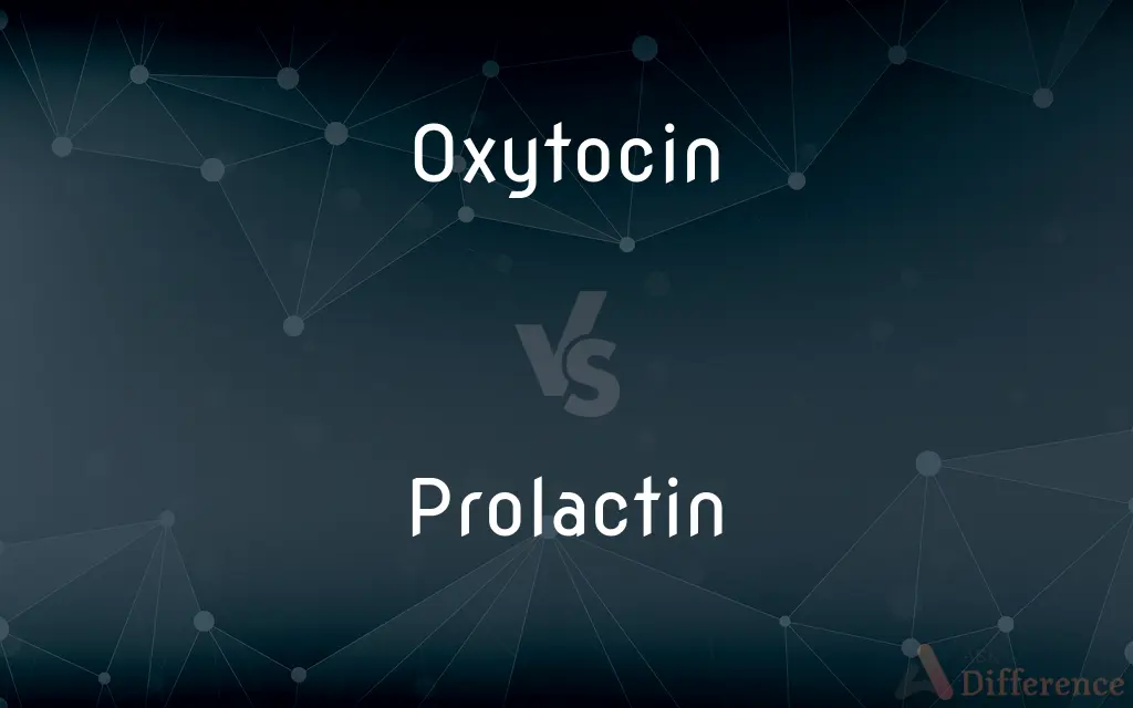 Oxytocin vs. Prolactin — What's the Difference?