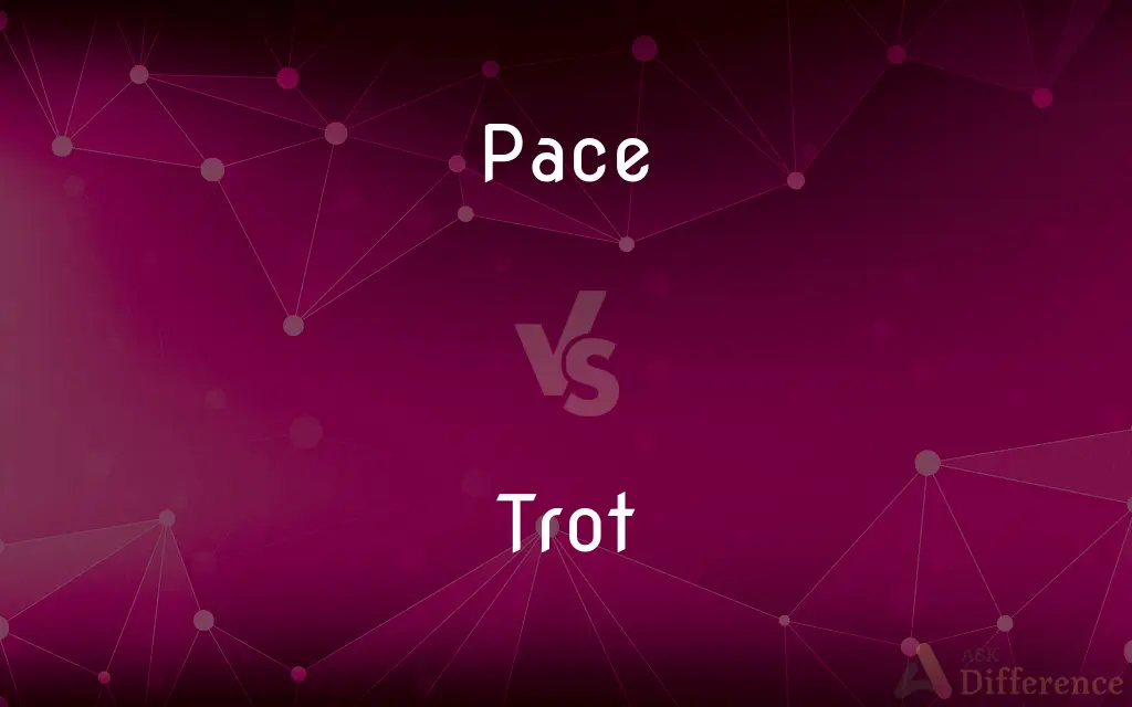Pace vs. Trot — What's the Difference?