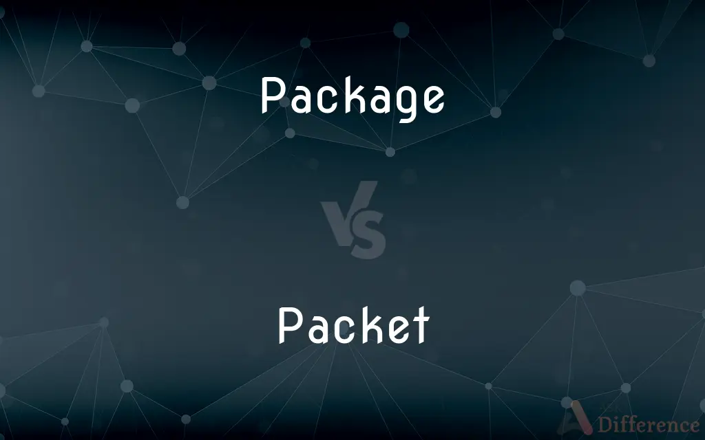 Package vs. Packet — What's the Difference?
