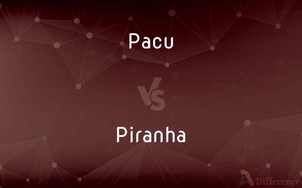 Pacu vs. Piranha — What's the Difference?
