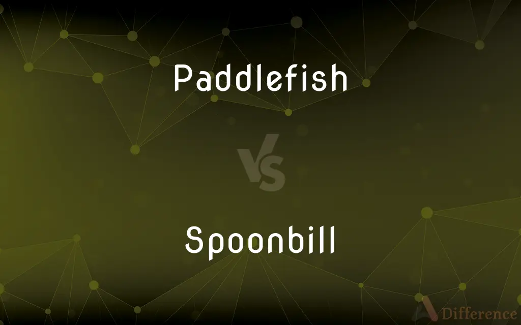 Paddlefish vs. Spoonbill — What's the Difference?
