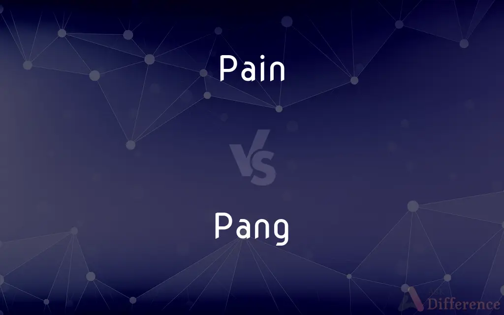 Pain vs. Pang — What's the Difference?