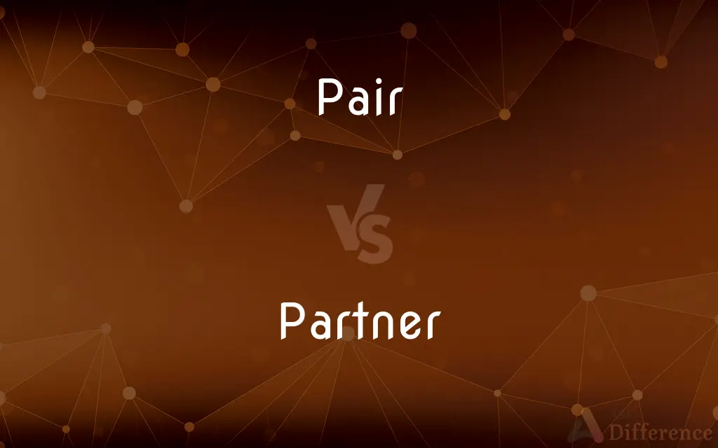 Pair vs. Partner — What's the Difference?