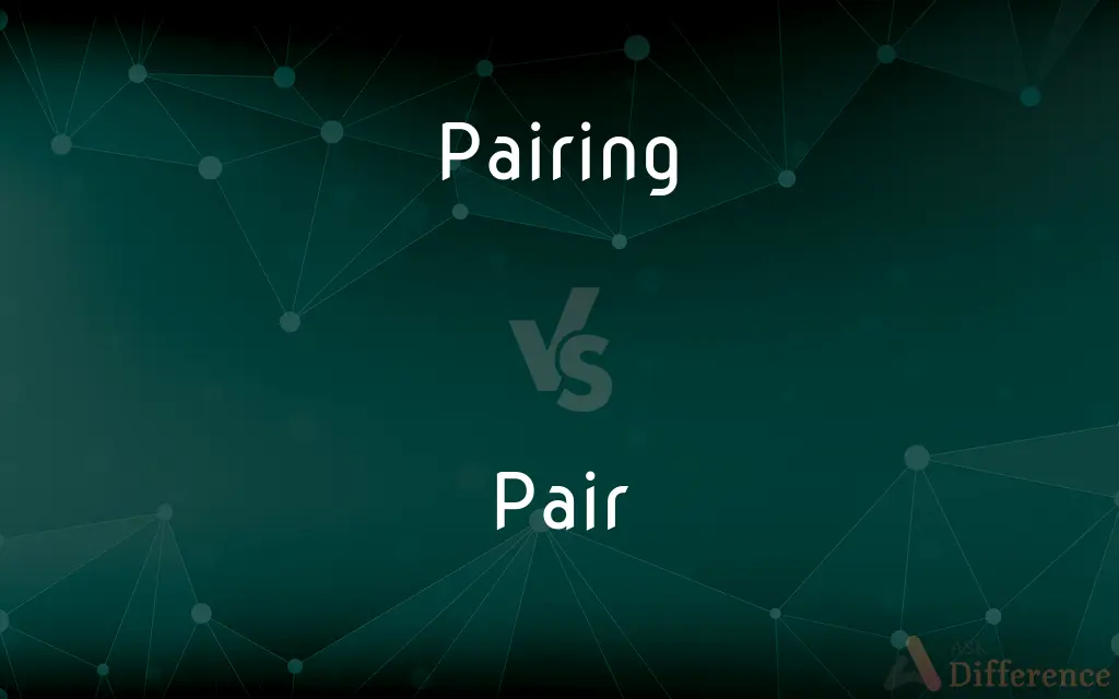 Pairing vs. Pair — What's the Difference?