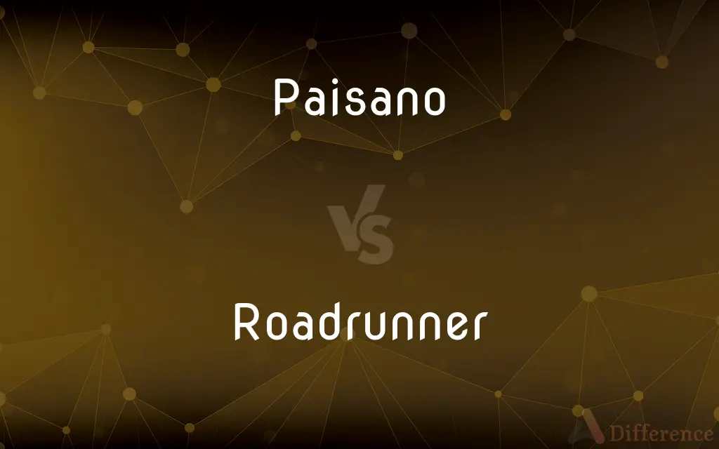 Paisano vs. Roadrunner — What's the Difference?