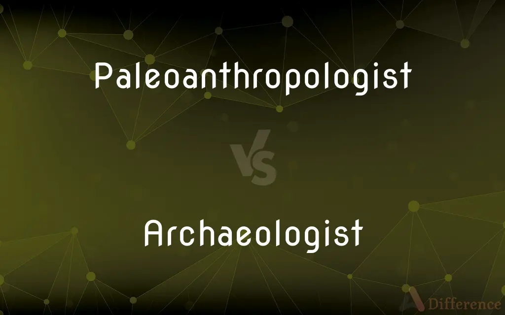 Paleoanthropologist vs. Archaeologist — What's the Difference?