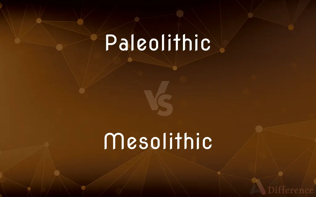 Paleolithic vs. Mesolithic — What's the Difference?