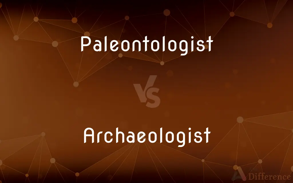 Paleontologist vs. Archaeologist — What's the Difference?