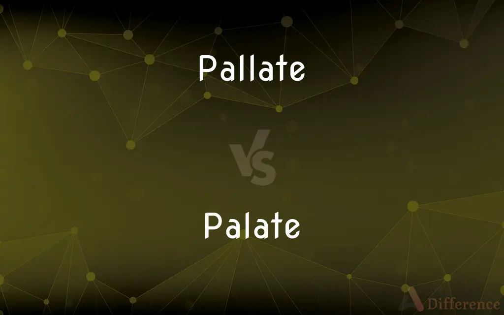 Pallate vs. Palate — Which is Correct Spelling?