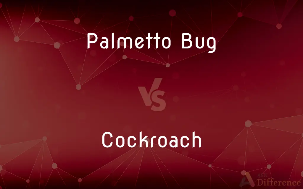 Palmetto Bug vs. Cockroach — What's the Difference?