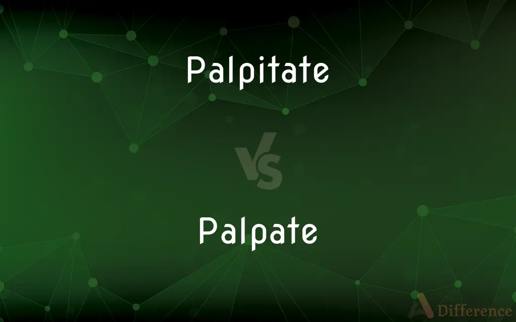 Palpitate vs. Palpate — What's the Difference?