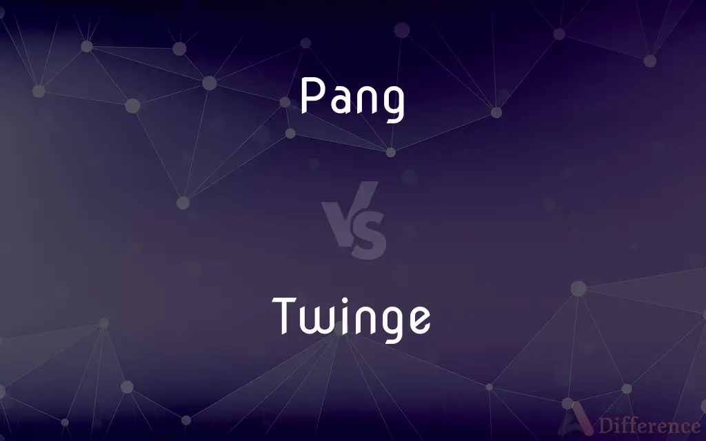 Pang vs. Twinge — What's the Difference?